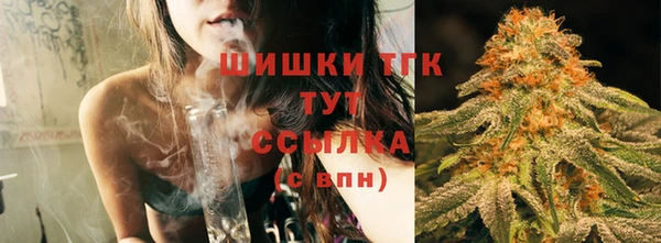 винт Белокуриха