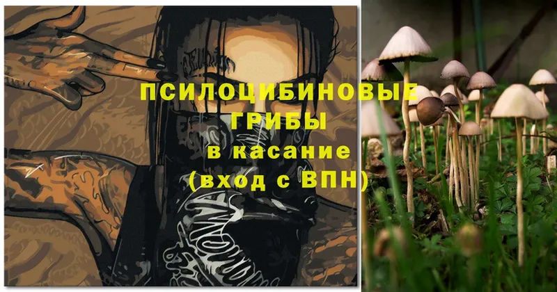 Галлюциногенные грибы Cubensis  omg маркетплейс  Валуйки 