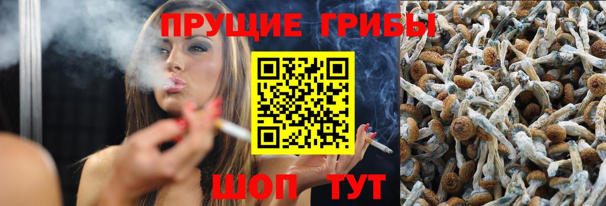 Псилоцибиновые грибы Cubensis  Галлюциногенные грибы Magic Shrooms  Валуйки  Вход с VPN 